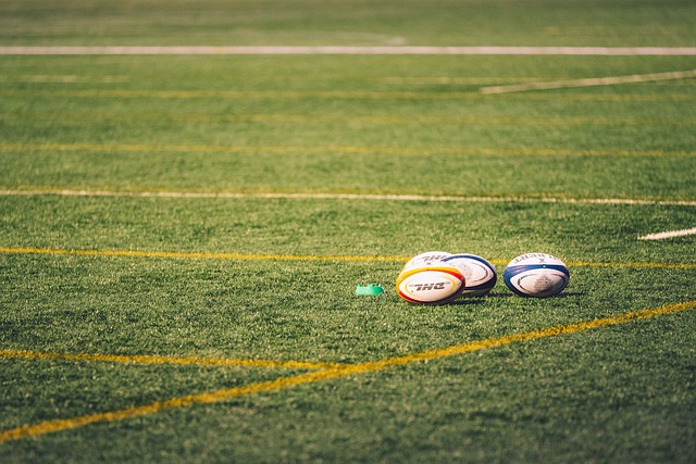 Best rugby betting sites in Australia
