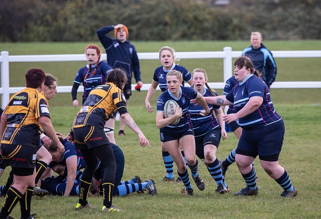 Best rugby betting sites in Australia