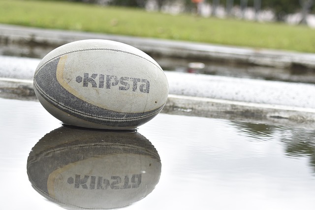 Best rugby betting sites in Australia