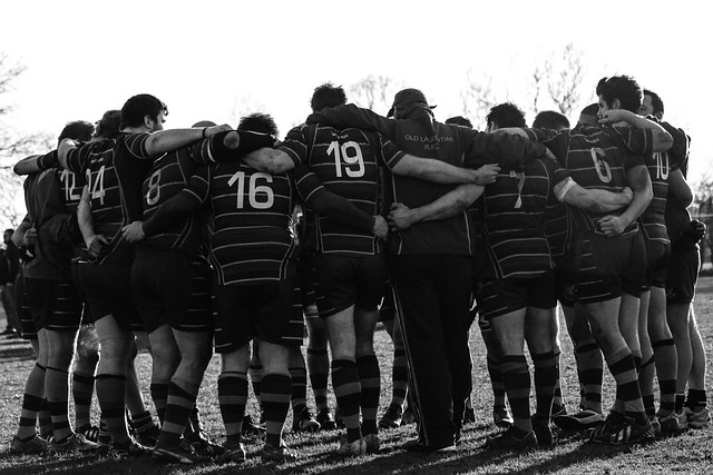 Best rugby betting sites in Australia