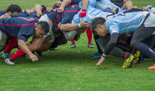 Best rugby betting sites in Australia