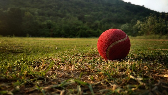 Cricket betting apps Australia