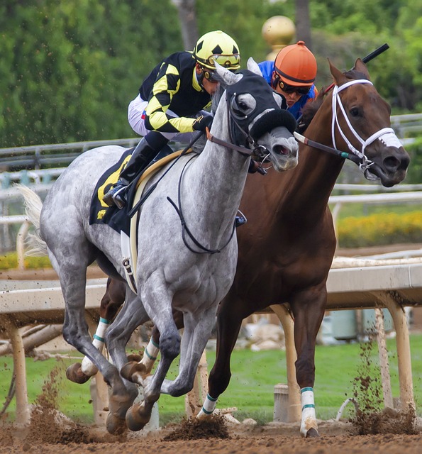 Exclusive Aussie sports betting tips and tricks
