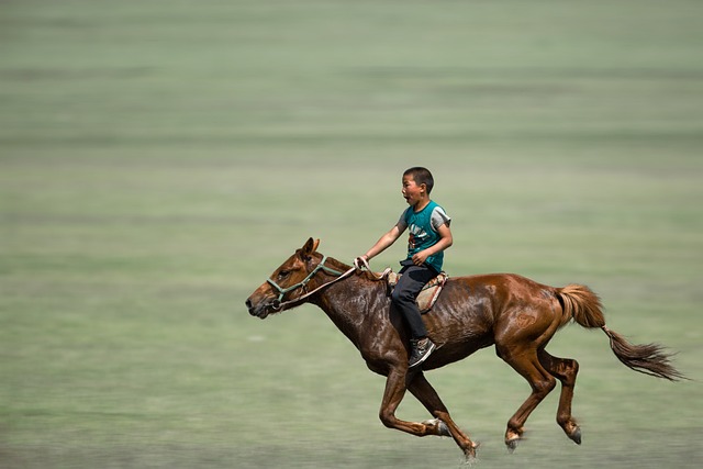 High payout horse racing betting Australia