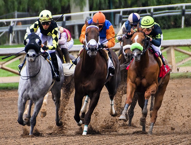 High payout horse racing betting Australia