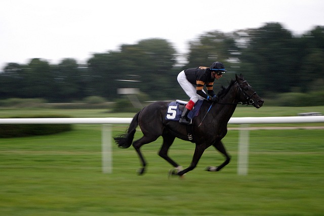 High payout horse racing betting Australia