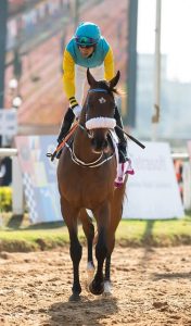 high-payout-horse-racing-betting-austral-640x480-96186870.jpeg