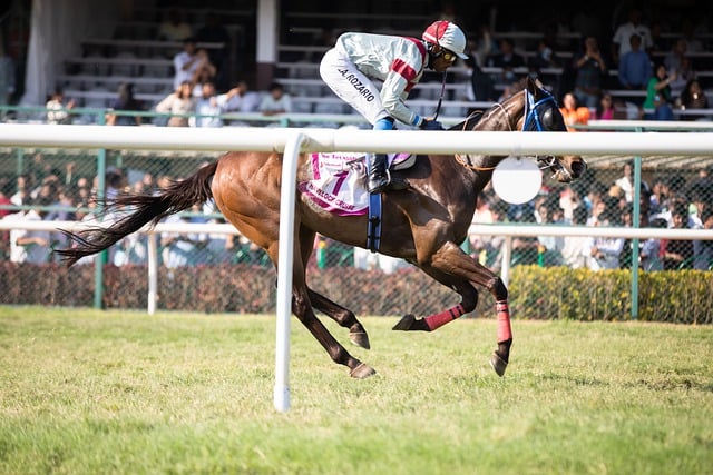 Horse racing tips for Australian punters