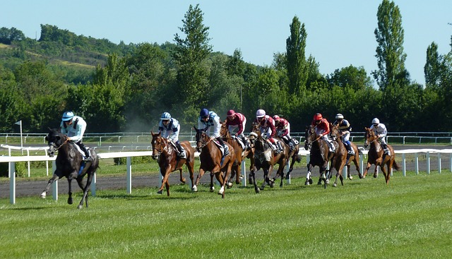 Online horse racing betting Australia