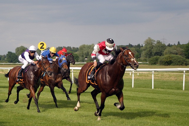 Online horse racing betting Australia