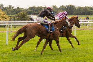 online-horse-racing-betting-australia-640x480-39185087.jpeg