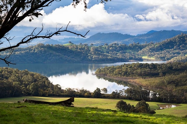 online-scratchies-australia-640x480-1936166.jpeg