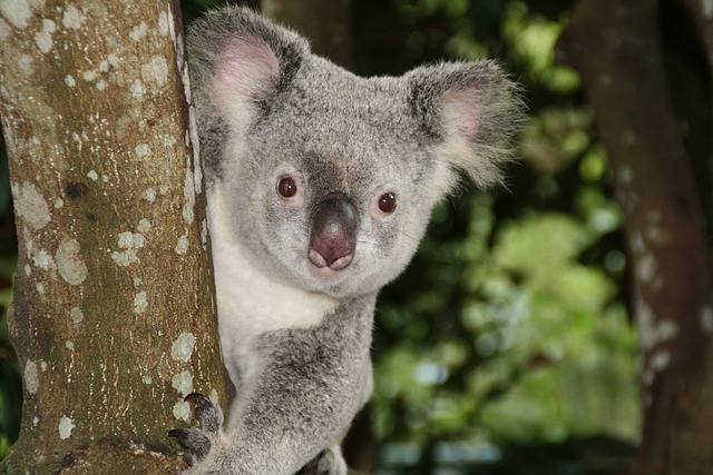 Online scratchies Australia