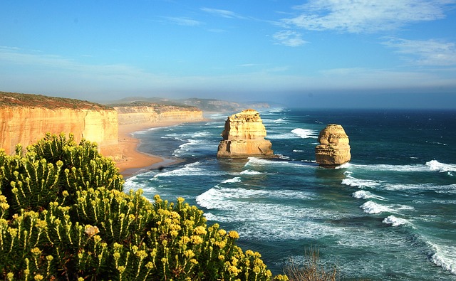 Top betting tips Australia