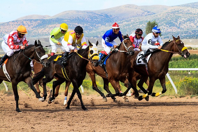 Top-rated mobile apps for live sports betting