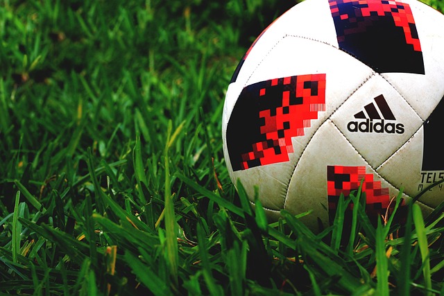 Top sports betting platforms for Australian players