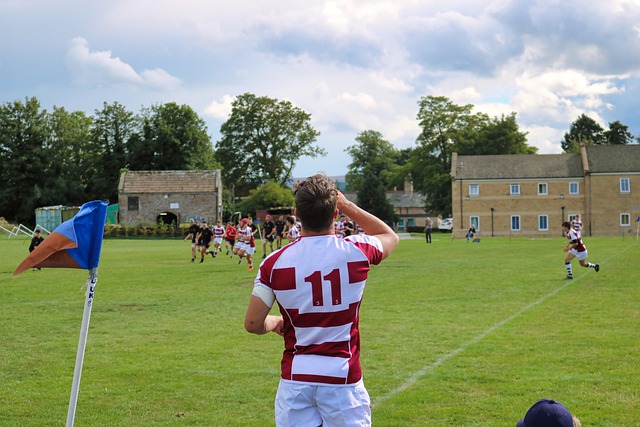 Trusted Australian betting platforms for rugby