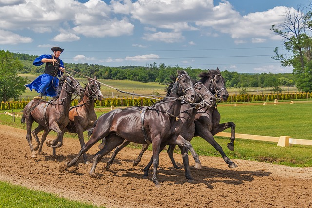 Trusted horse racing betting sites Australia