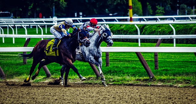 Trusted horse racing betting sites Australia