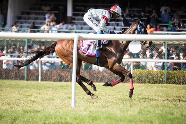 Trusted horse racing betting sites Australia
