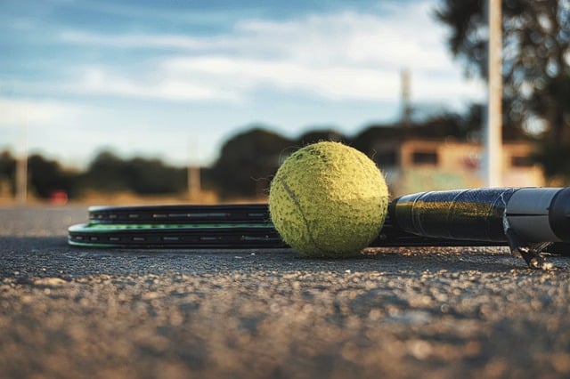 Trusted online platforms for sports betting