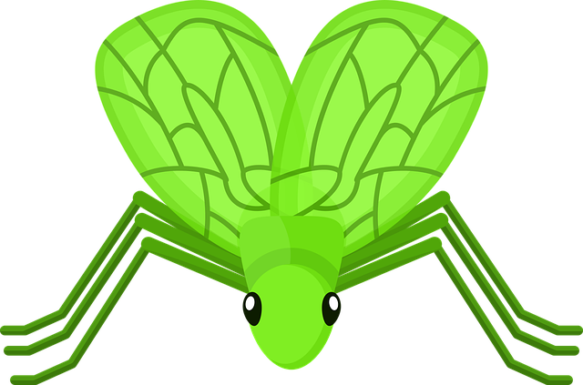 best-cricket-betting-odds-australia-640x480-98324695.png