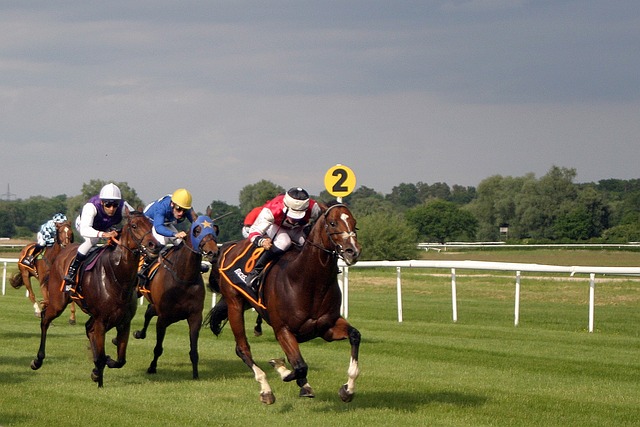 Best odds for horse racing betting Australia