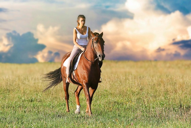 Best odds for horse racing betting Australia