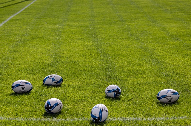 Best rugby betting sites in Australia