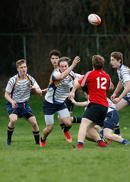 Best rugby betting sites in Australia