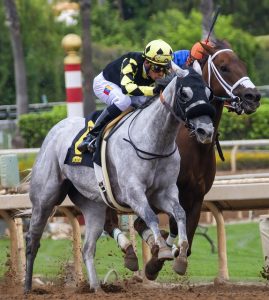 high-stakes-sports-betting-sites-austral-640x480-35066420.jpeg