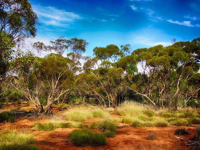 Popular progressive jackpots Australia