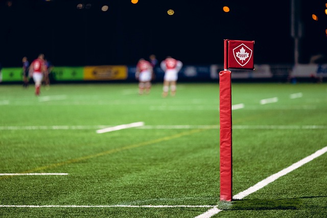 Top rugby betting sites Australia