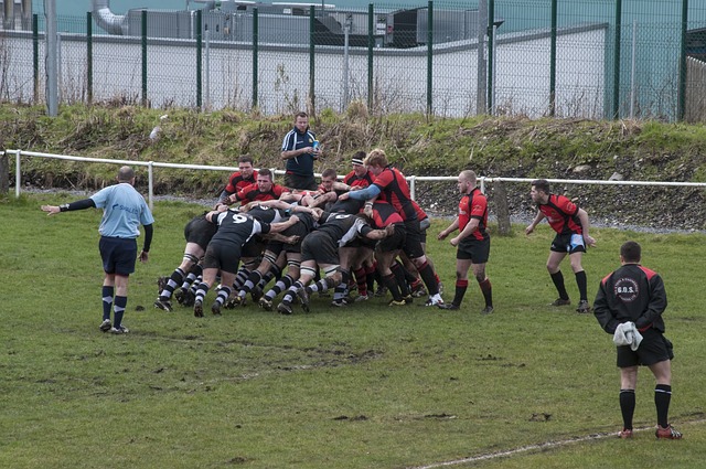Top rugby betting sites Australia