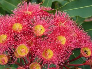 trusted-australian-gambling-sites-640x480-82720461.jpeg