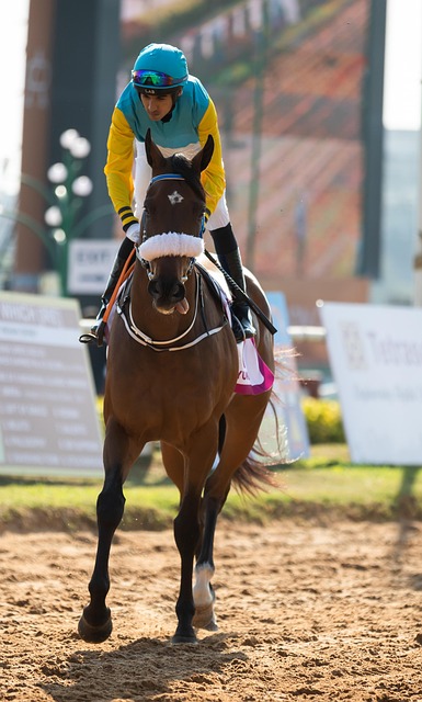 Trusted horse racing betting sites Australia