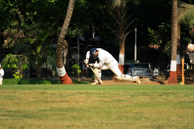 Best cricket betting sites Australia