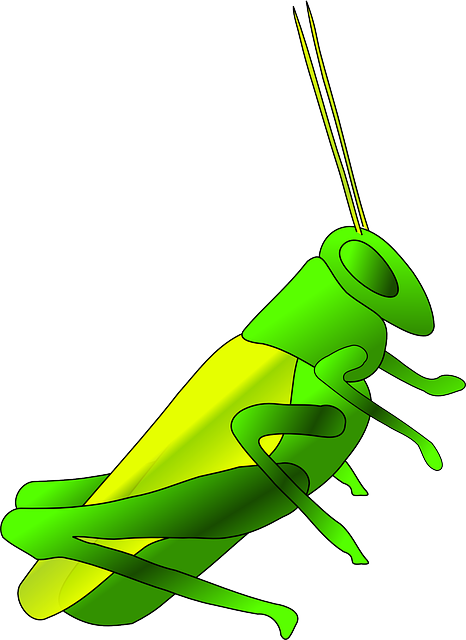 best-cricket-betting-sites-australia-640x480-68821553.png