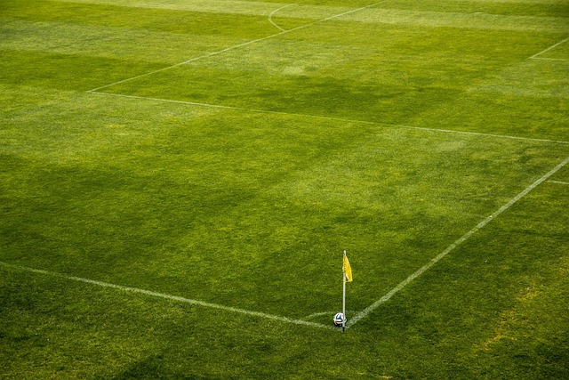 Best odds for Australian football betting