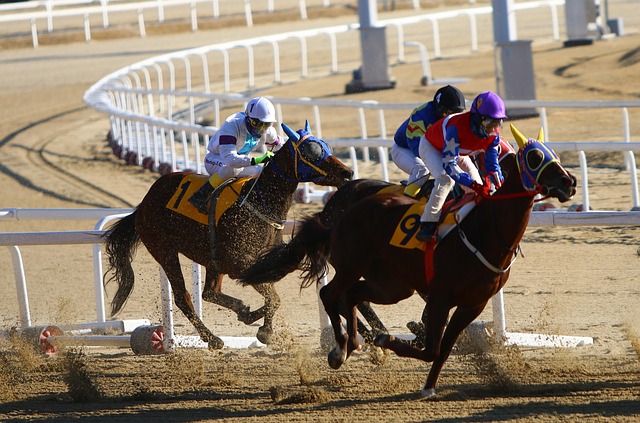 Best odds for horse racing betting Australia