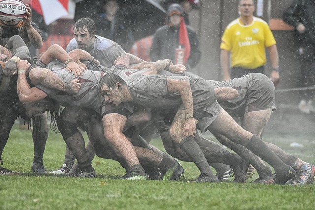 Best rugby betting sites in Australia
