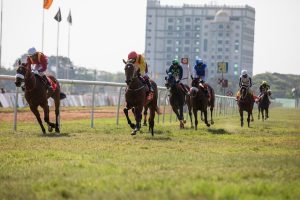 high-payout-horse-racing-betting-austral-640x480-22951114.jpeg