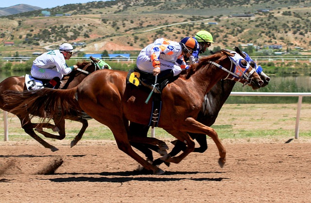 Horse racing tips for Australian punters