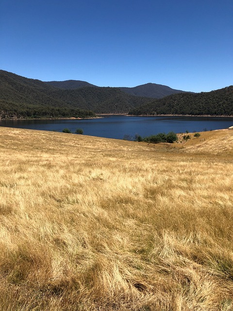 Play pokies online Australia