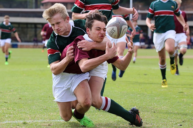 Trusted Australian betting platforms for rugby