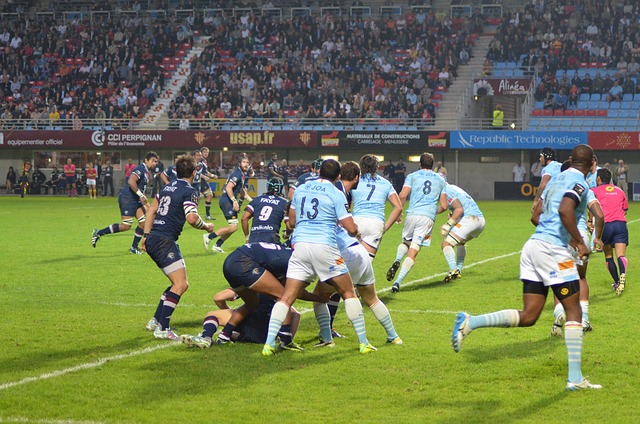 Trusted Australian betting platforms for rugby