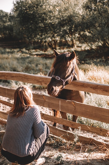 Trusted horse racing betting sites Australia