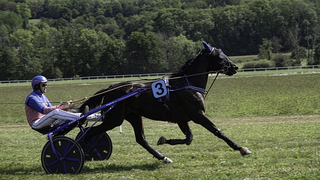 Trusted horse racing betting sites Australia