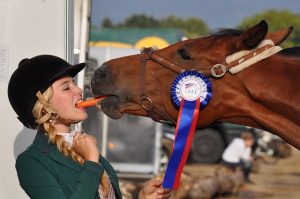 trusted-horse-racing-betting-sites-austr-640x480-82346796.jpeg