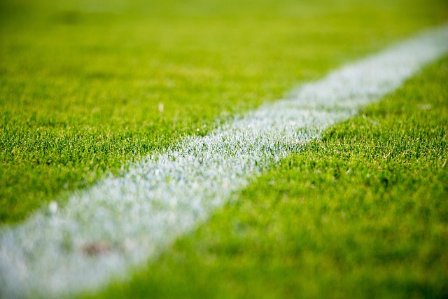 Best football betting sites Australia 2024